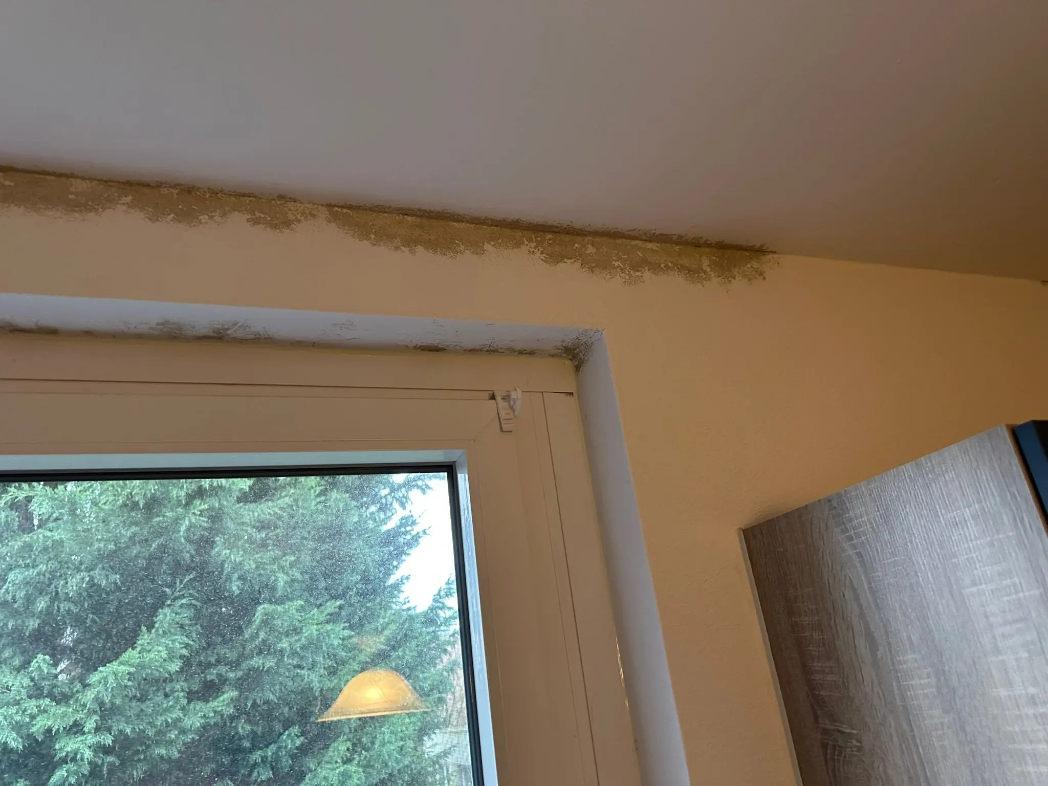 Vorher – Schimmelbeseitigung