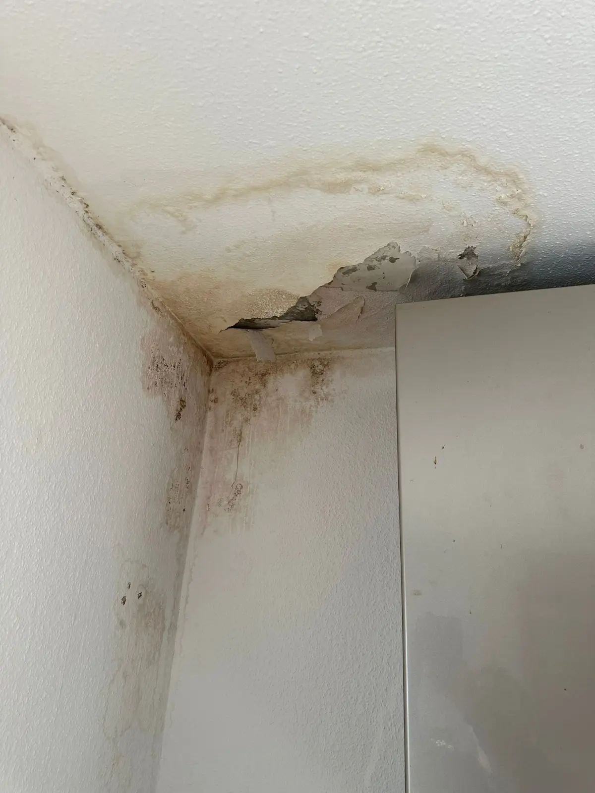 Vorher – Wasserschaden